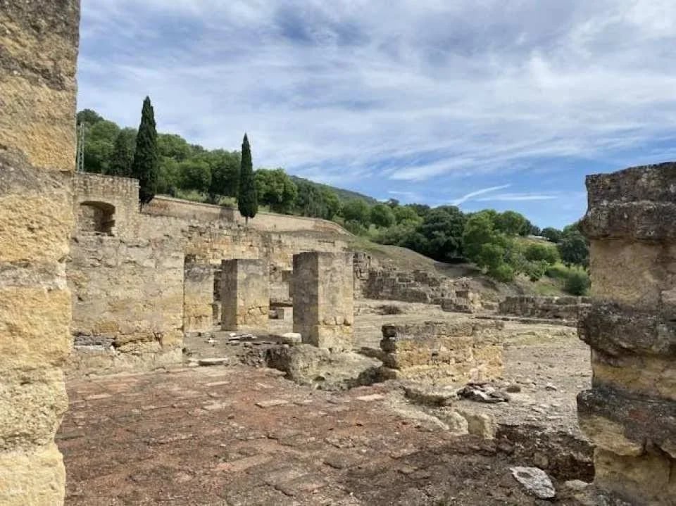 Guided tour of the Medina Azahara