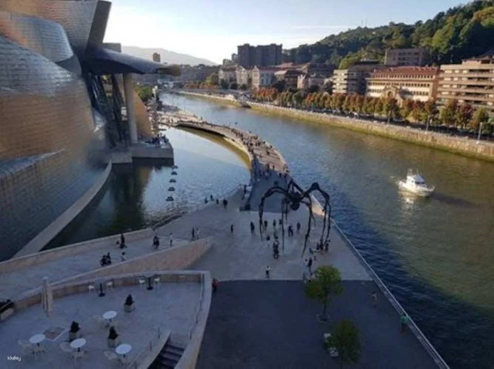 Visit to the Guggenheim Museum in Bilbao in Spanish