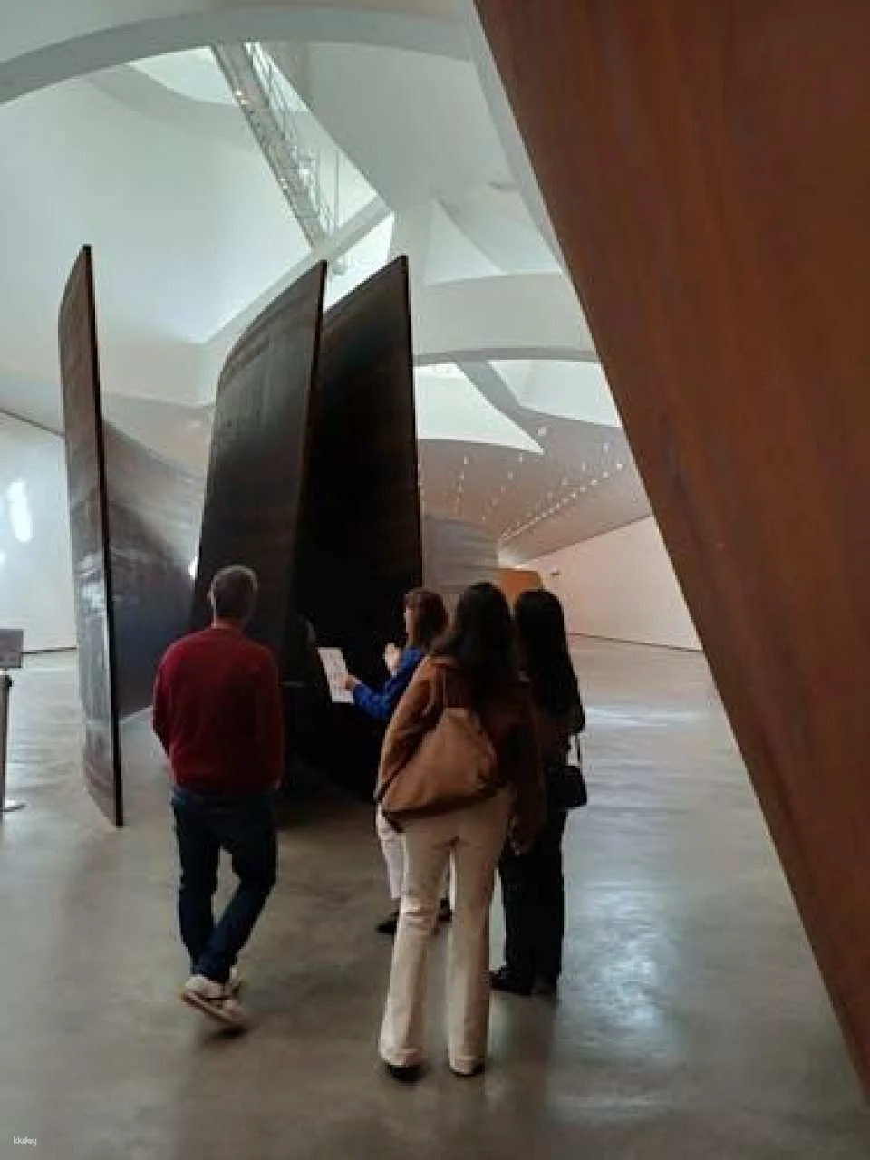 Visit to the Guggenheim Museum in Bilbao in Spanish