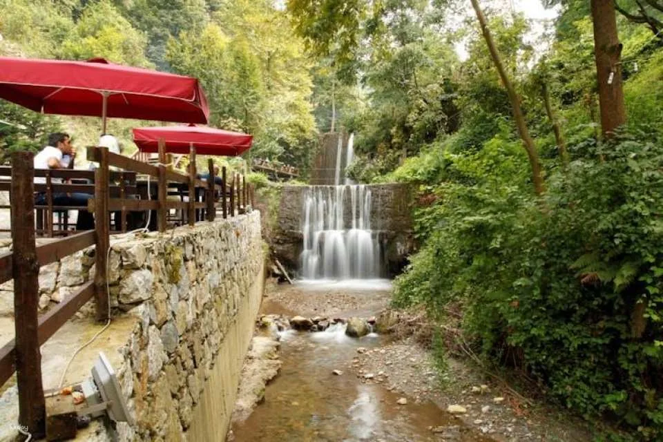 Sapanca and Masukiye guided tour from Istanbul with lunch