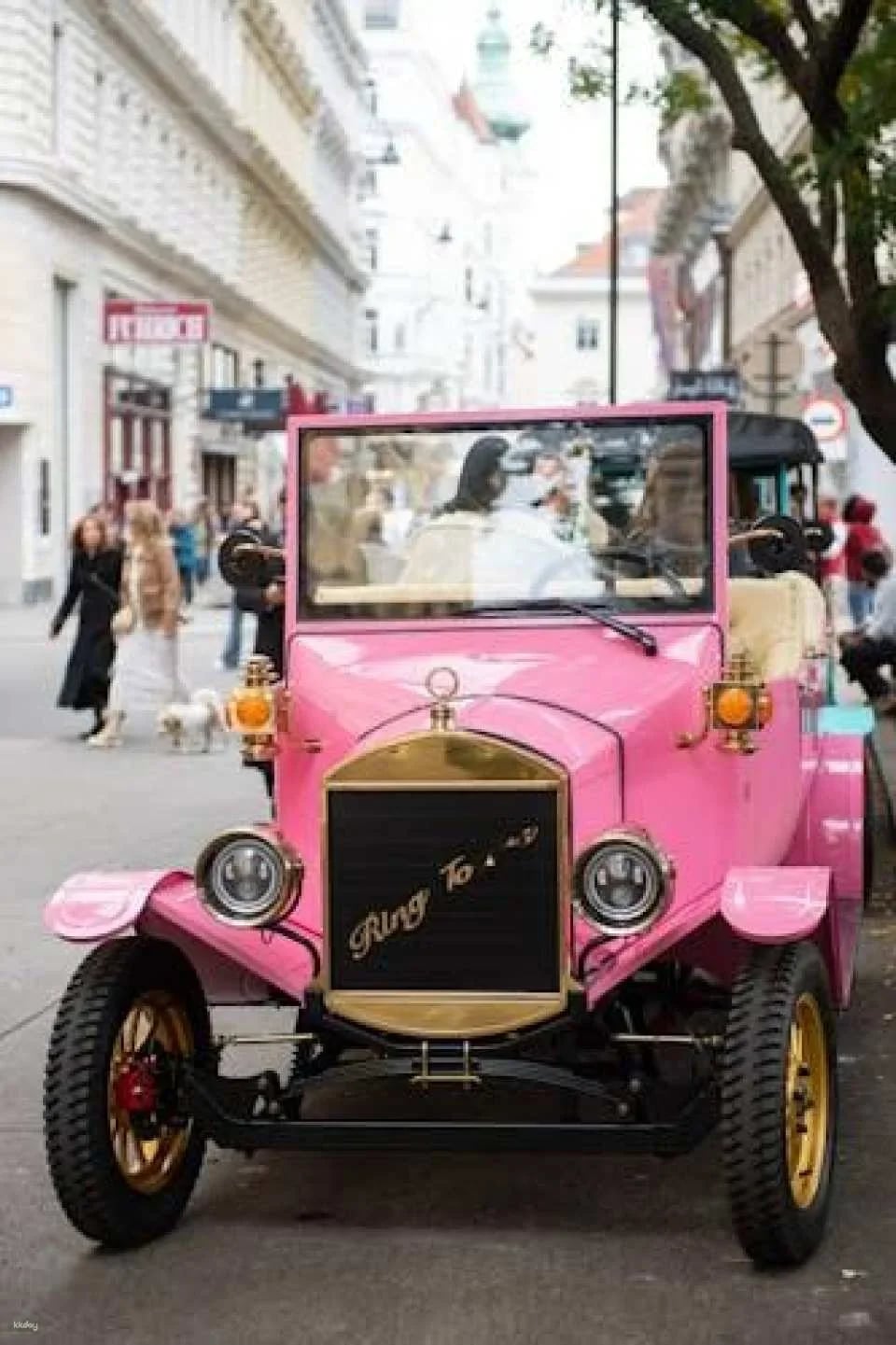 Private panoramic tour of Vienna in a vintage electric vehicle