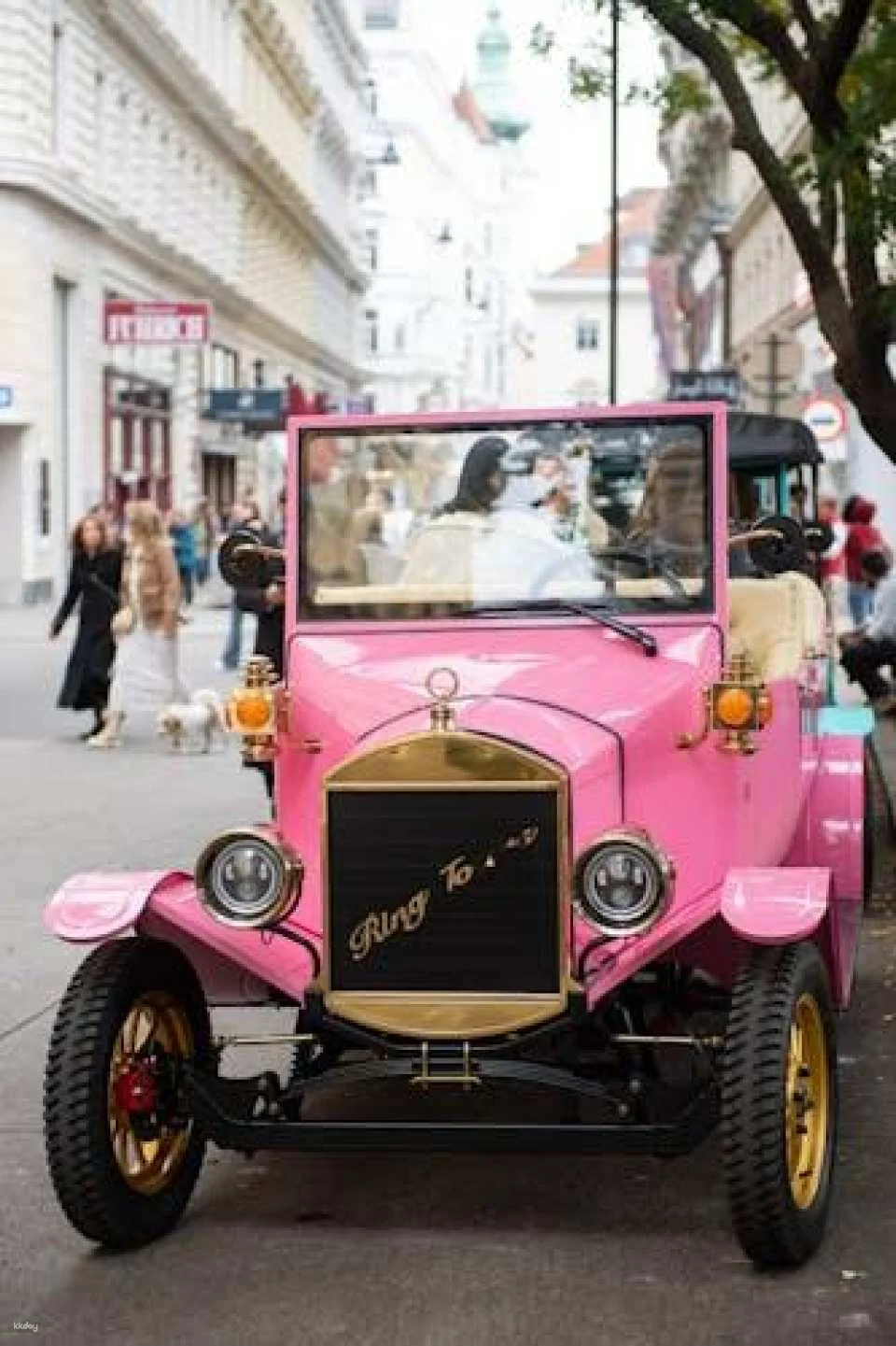 Private panoramic tour of Vienna in a vintage electric vehicle