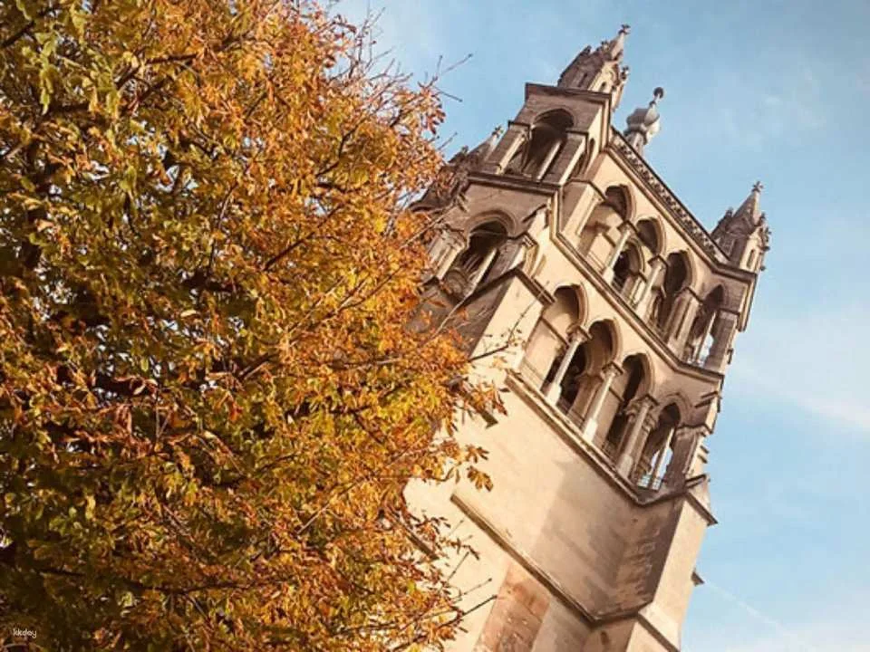 "Lausanne Cathedral" guided tour for private groups