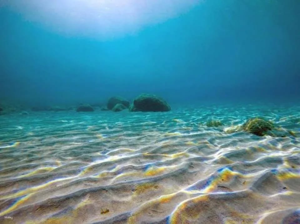 Exclusive Boat tours with Pachira from Fornells without Transfer
