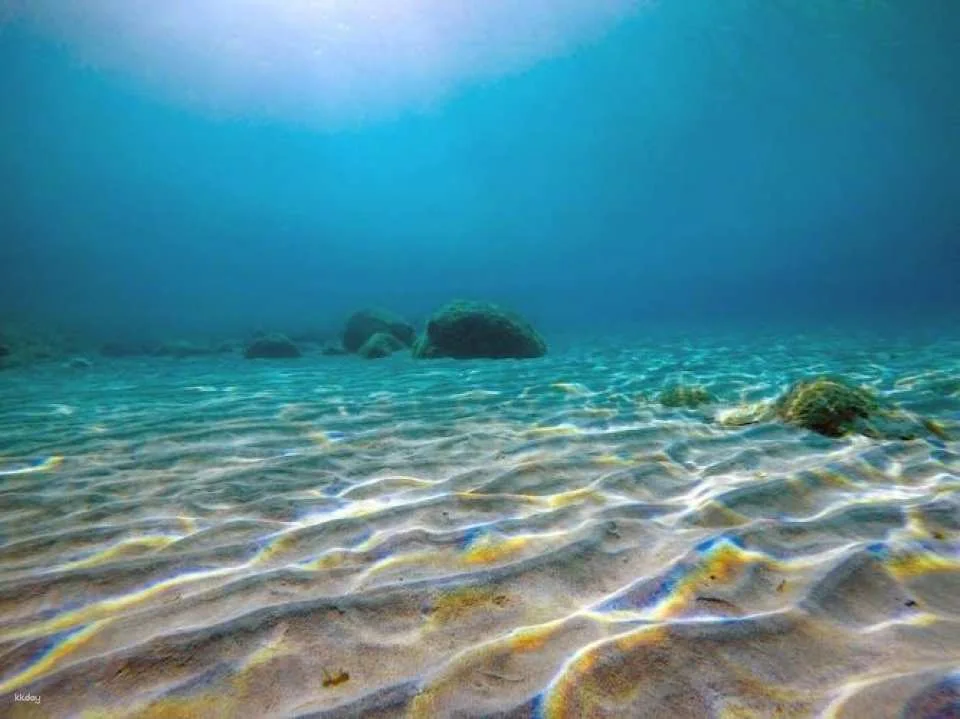 Exclusive Boat tours with Pachira from Fornells without Transfer