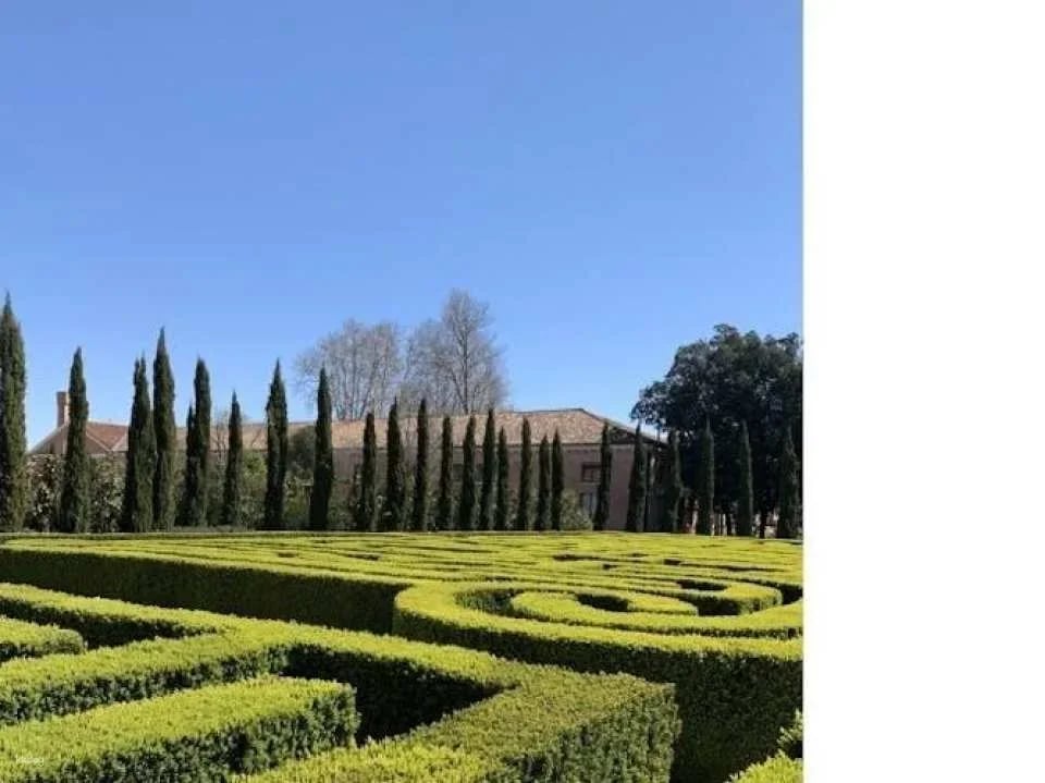 Giorgio Cini, Borges Labyrinth and Vatican chapels tour with audio guide