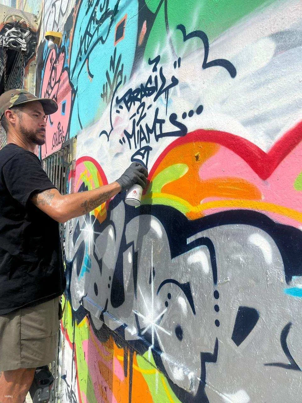 Miami | Private Wynwood Graffiti Tour and Workshop| Departure from Miami | Door to Door Experience