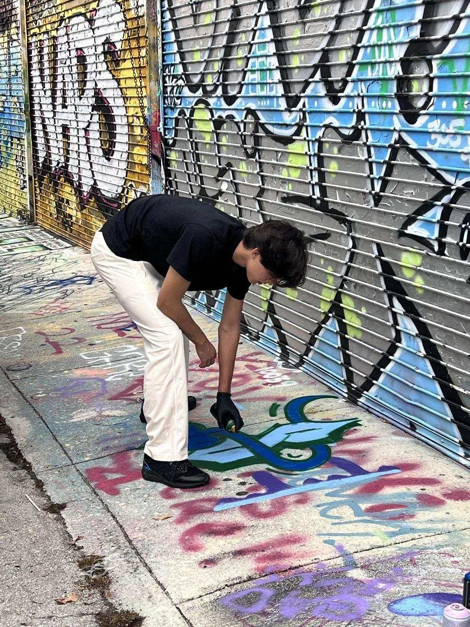 Miami | Private Wynwood Graffiti Tour and Workshop| Departure from Miami | Door to Door Experience