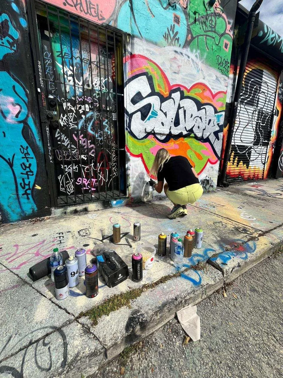 Miami | Private Wynwood Graffiti Tour and Workshop| Departure from Miami | Door to Door Experience