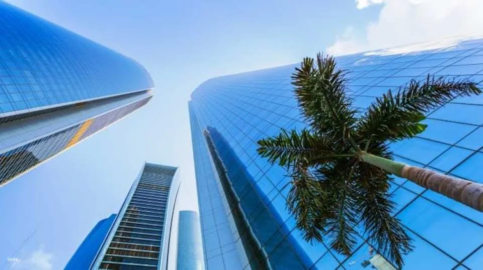 From Dubai:  Abu Dhabi full-day guided tour in Spanish