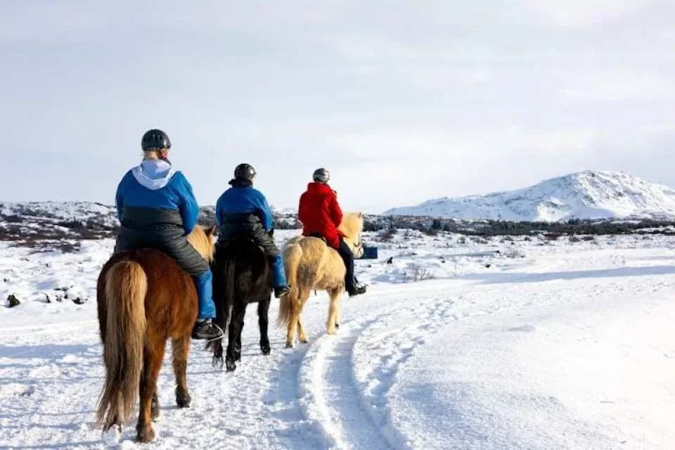 Musement Icelandic horse tour