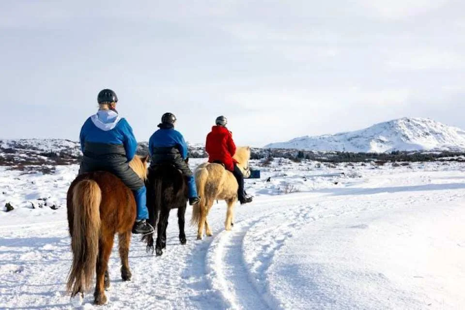 Musement Icelandic horse tour