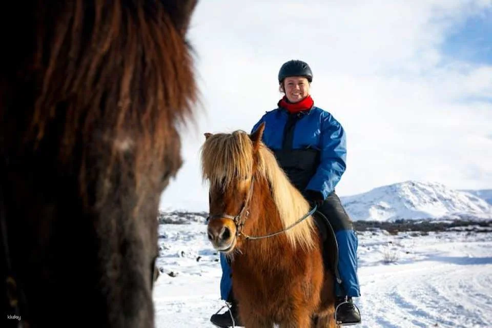Musement Icelandic horse tour