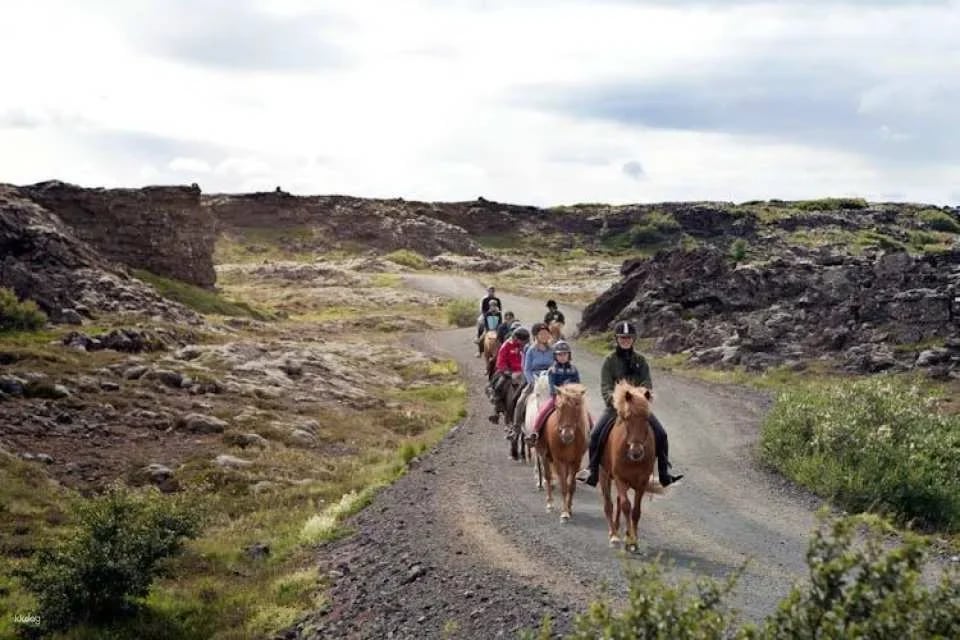 Musement Icelandic horse tour