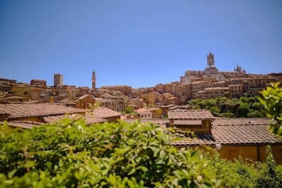 Day trip to Pisa, Siena and San Gimignano with optional lunch