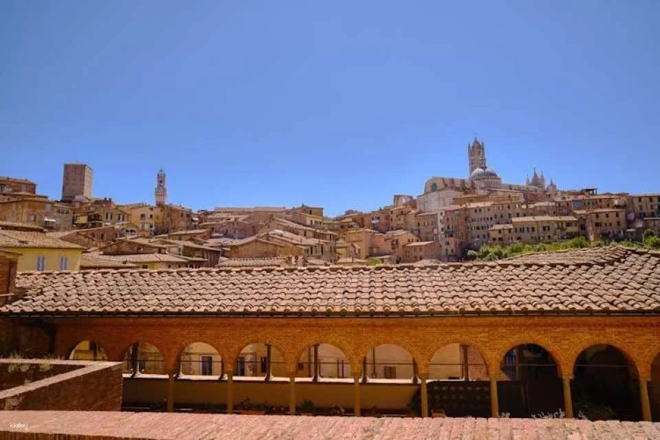 Day trip to Pisa, Siena and San Gimignano with optional lunch