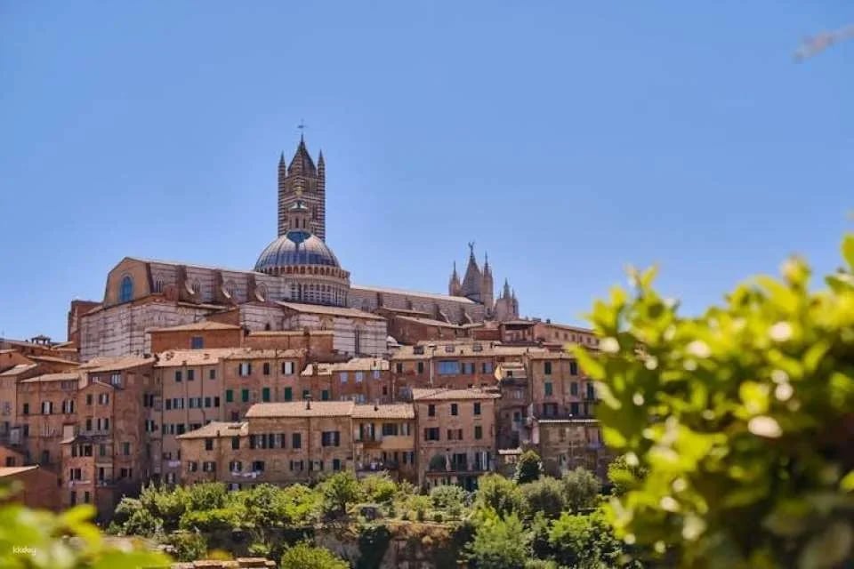 Day trip to Pisa, Siena and San Gimignano with optional lunch