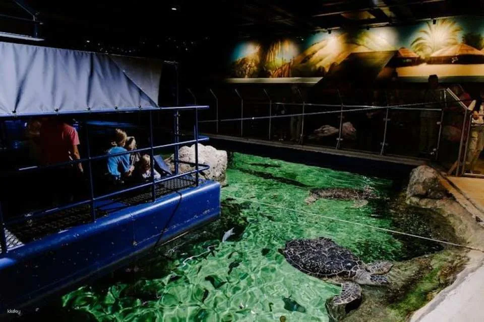 Sea Life Brighton entrance tickets