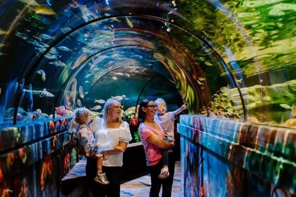 Sea Life Brighton entrance tickets