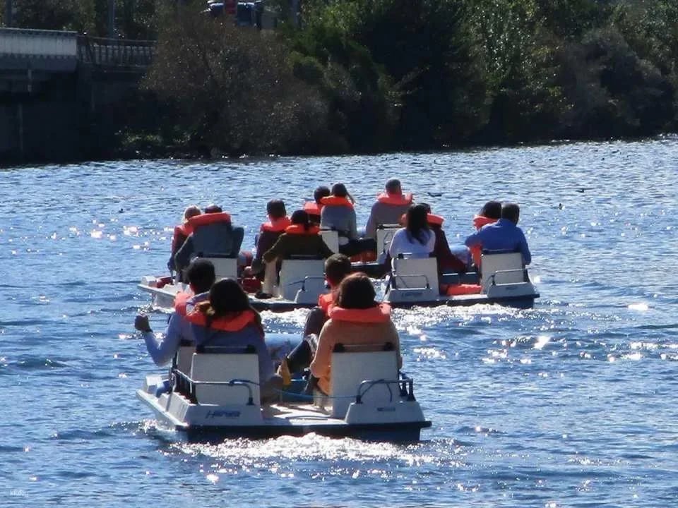 Pedalo race team event on Lake Zurich