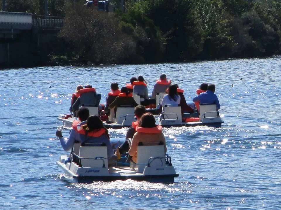 Pedalo race team event on Lake Zurich