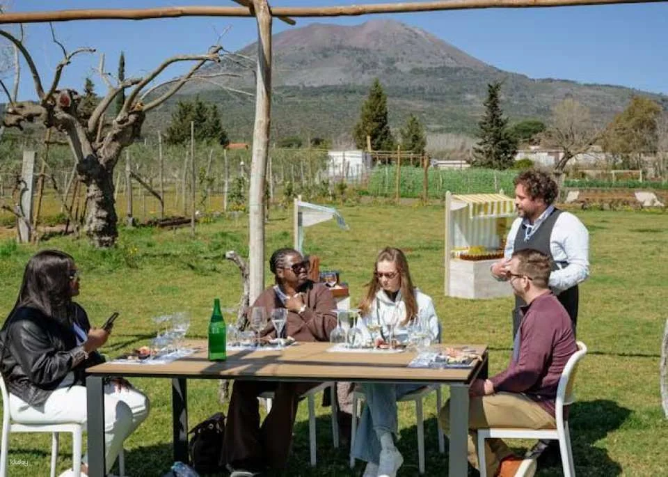 Pompeii tour with Vesuvius horse riding and wine tasting