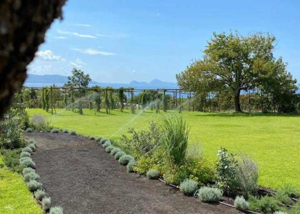 Pompeii tour with Vesuvius horse riding and wine tasting