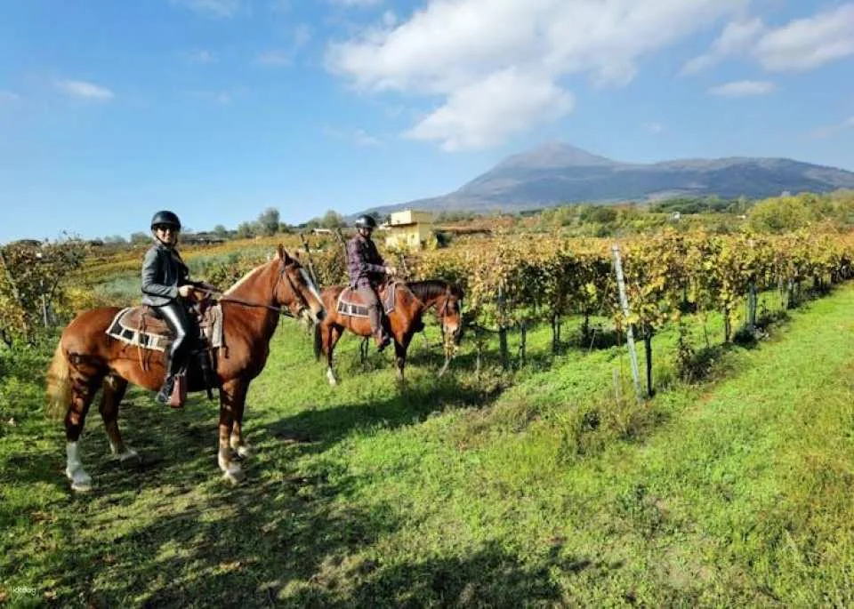 Pompeii tour with Vesuvius horse riding and wine tasting