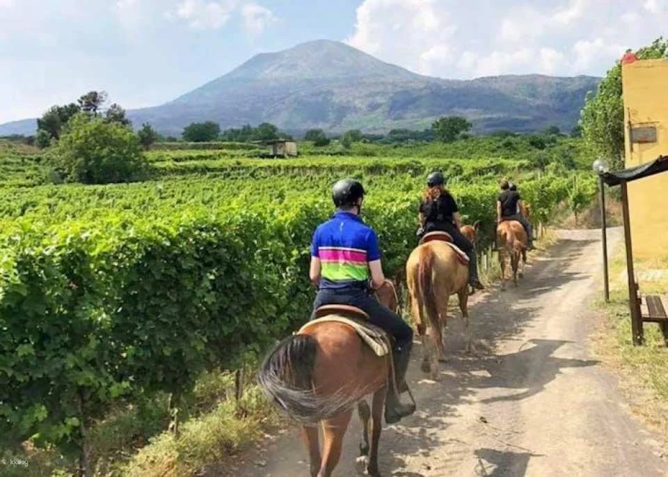 Pompeii tour with Vesuvius horse riding and wine tasting