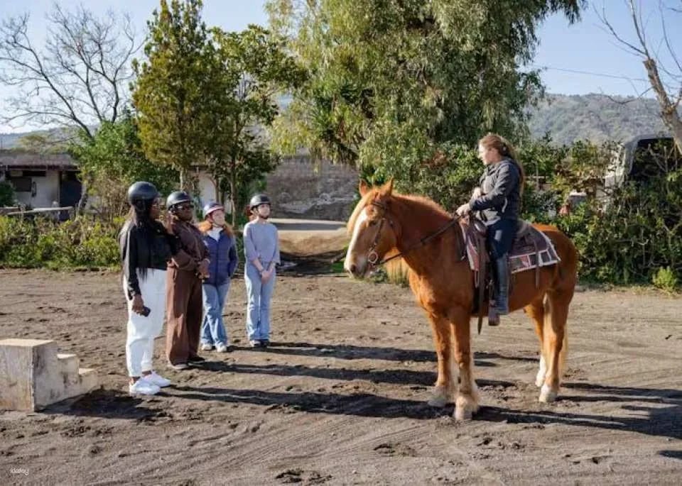 Pompeii tour with Vesuvius horse riding and wine tasting