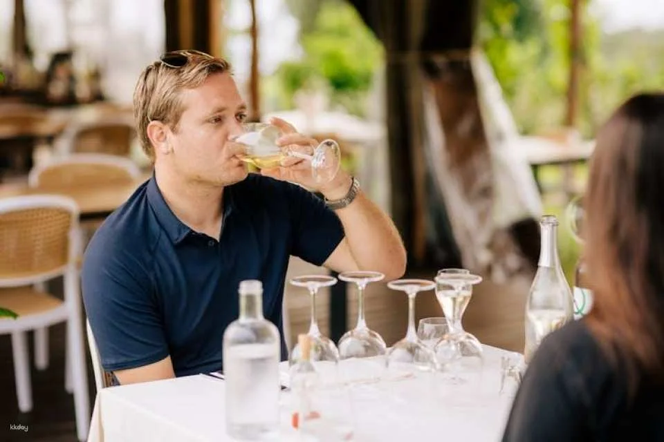 Pompeii tour with Vesuvius horse riding and wine tasting
