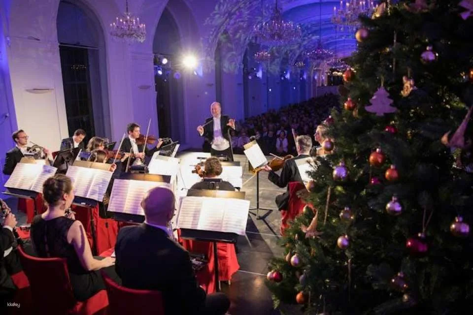Christmas Market visit and Classical Concert at Schoenbrunn Palace