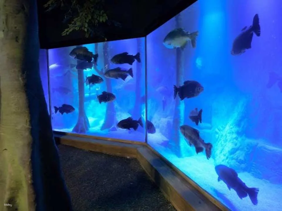 Sea Life London Aquarium tickets