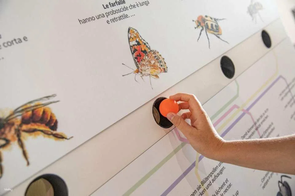 World Nature Forum private guided tour