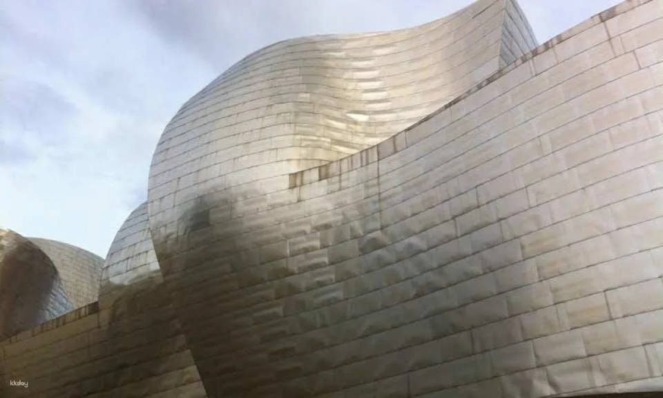 Guggenheim Bilbao Museum private tour