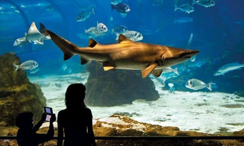 Barcelona Aquarium skip-the-line tickets