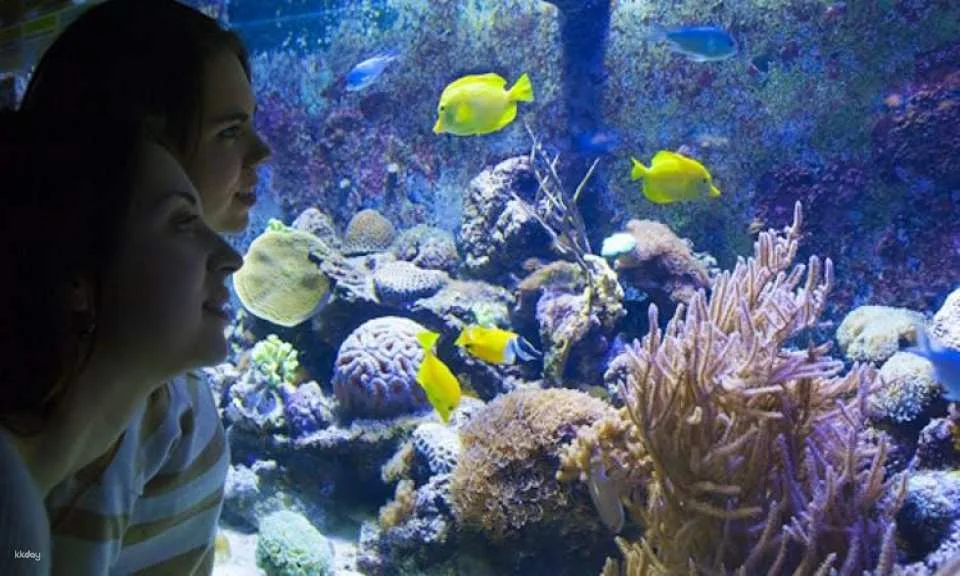 Barcelona Aquarium skip-the-line tickets