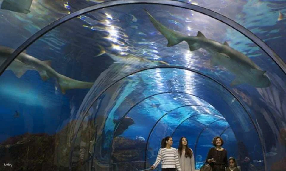 Barcelona Aquarium skip-the-line tickets