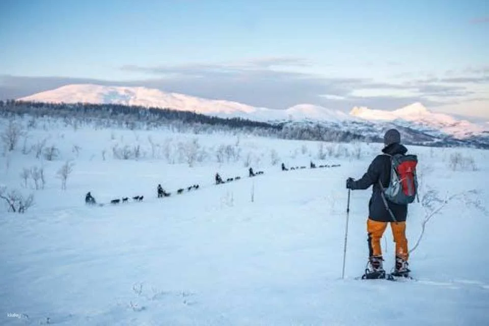 Guided Husky snowshoe hike