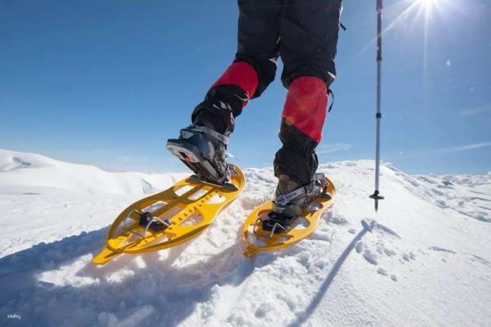 Guided Husky snowshoe hike