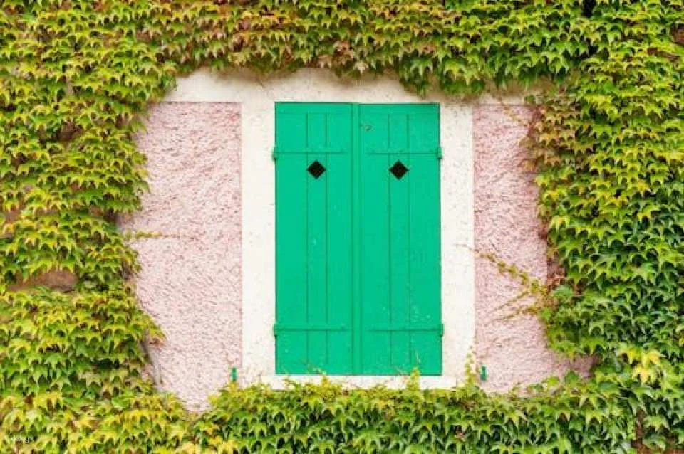 Half-Day Guided Tour of Monet's House in Giverny from Paris (600365)