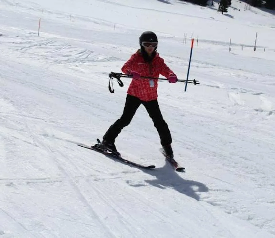 Mount Titlis snow fun for first-time skiers from Zurich