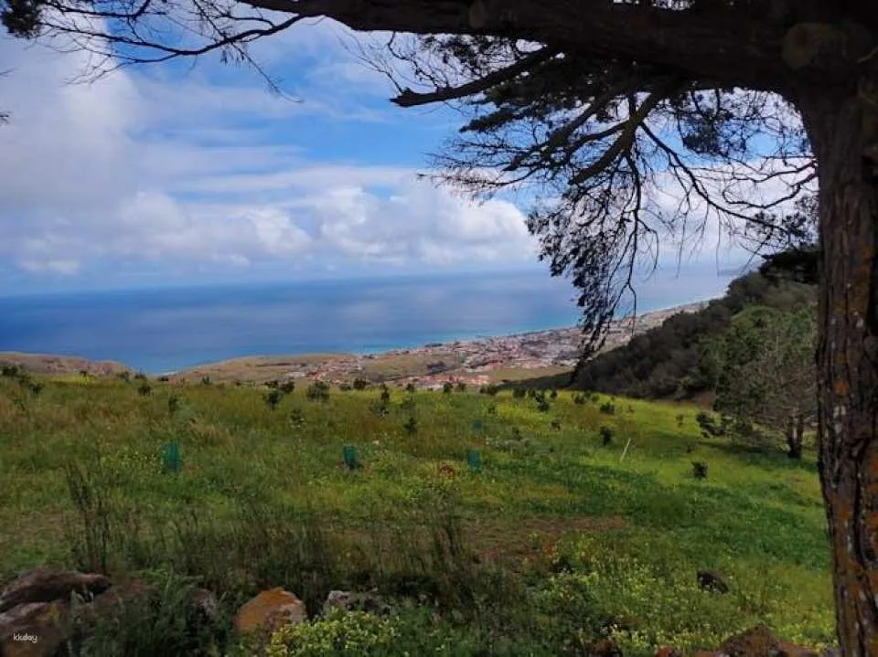 Porto Santo guided hiking tour