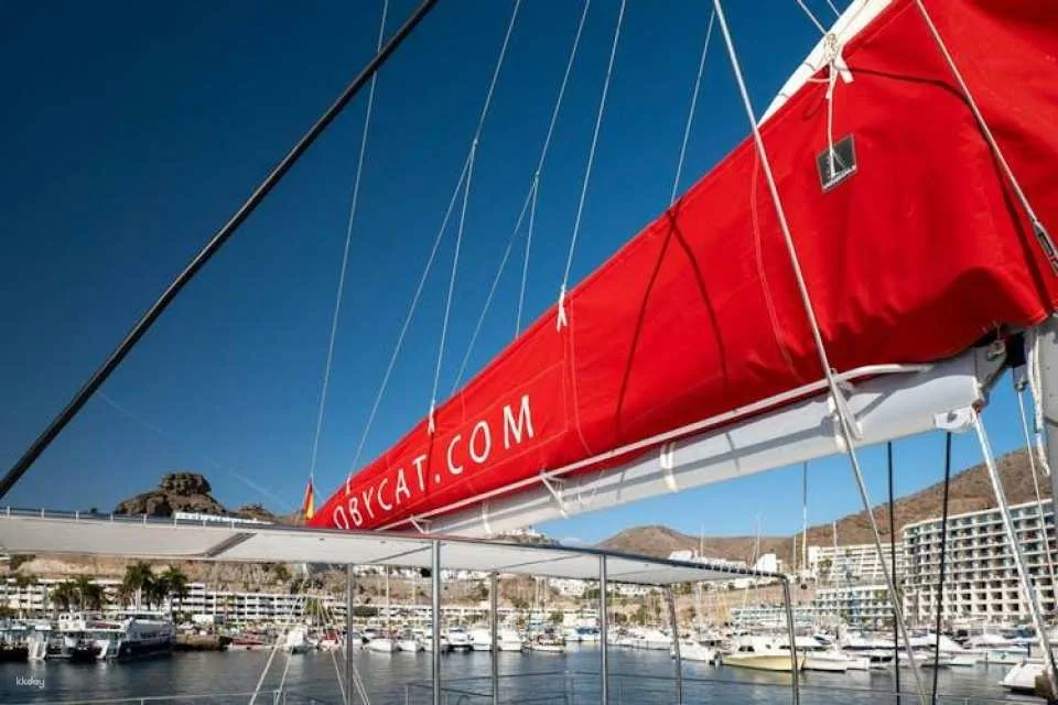 Adults-only Oby Cat cruise in Gran Canaria