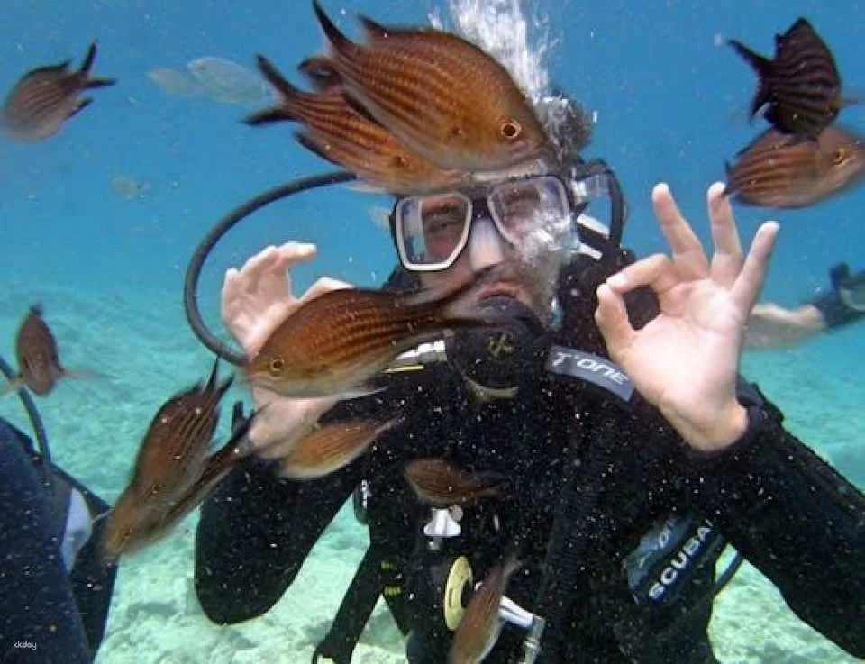 Side scuba diving for beginners