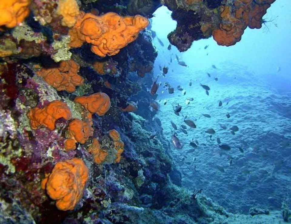 Side scuba diving for beginners