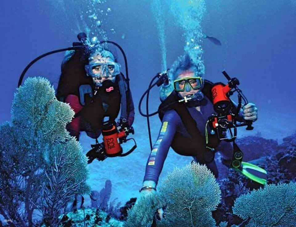 Side scuba diving for beginners