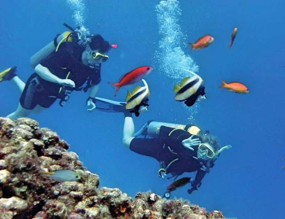 Side scuba diving for beginners