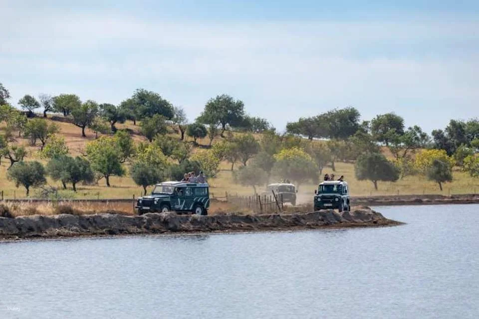 Guadiana Nature Safari Half-day Tour