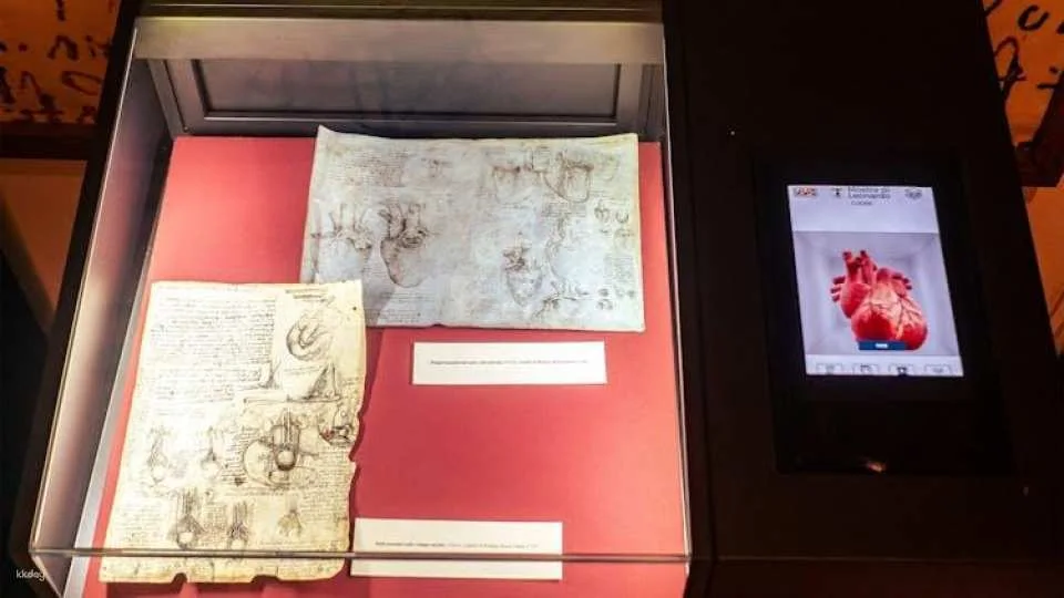 Skip-the-Line Tickets to the Leonardo Da Vinci Exhibition